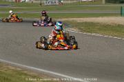 DSC_0189 (2)